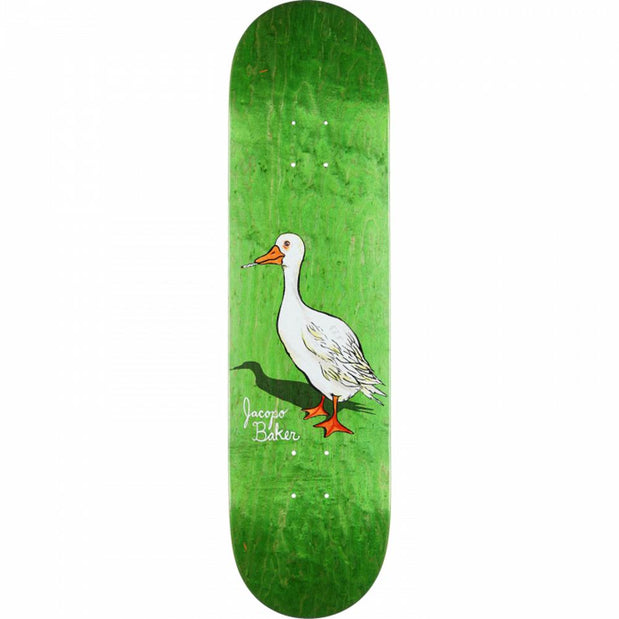 Baker Carozzi Goose 8.12" Skateboard Deck - Longboards USA