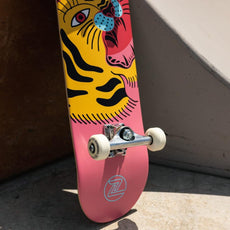Z-Flex Aragon Pink 7.8" Skateboard - Longboards USA