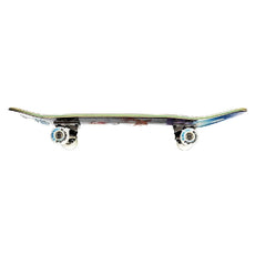 ATM Spirit Bear 7.25" Complete Skateboard - Longboards USA