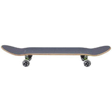 Darkstar Woods Green/Blue 8.125" Skateboard - Longboards USA
