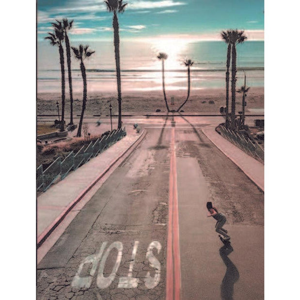 Shark Wheel-Eggboard 19'' Mini Cruiser Skateboard - Longboards USA