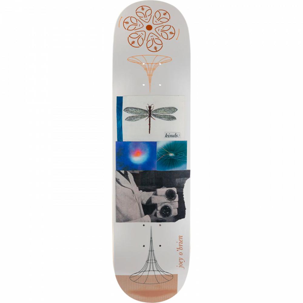 Alien Workshop O'Brien Kinds 8.0" White Skateboard Deck - Longboards USA