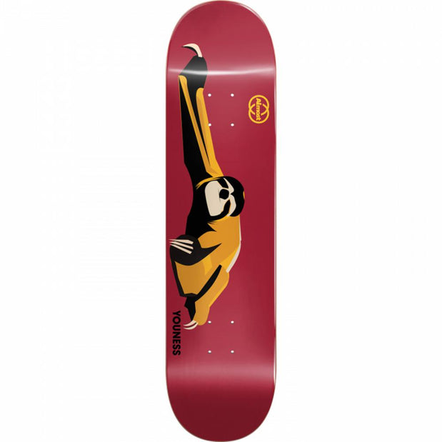 Almost Youness Animals 8.0" Skateboard Deck - Longboards USA