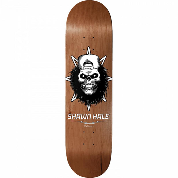Birdhouse Hale Skull 8.63" Skateboard Deck - Longboards USA