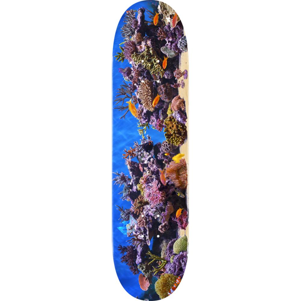 Mini Logo Fish Tank 8.5" Skateboard Deck - Longboards USA