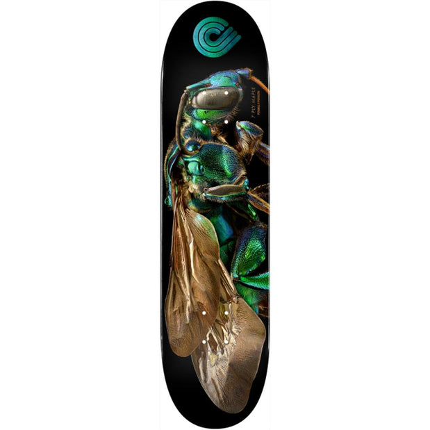 Powell Peralta Biss Cuckoo Bee 8.0" Skateboard Deck - Longboards USA