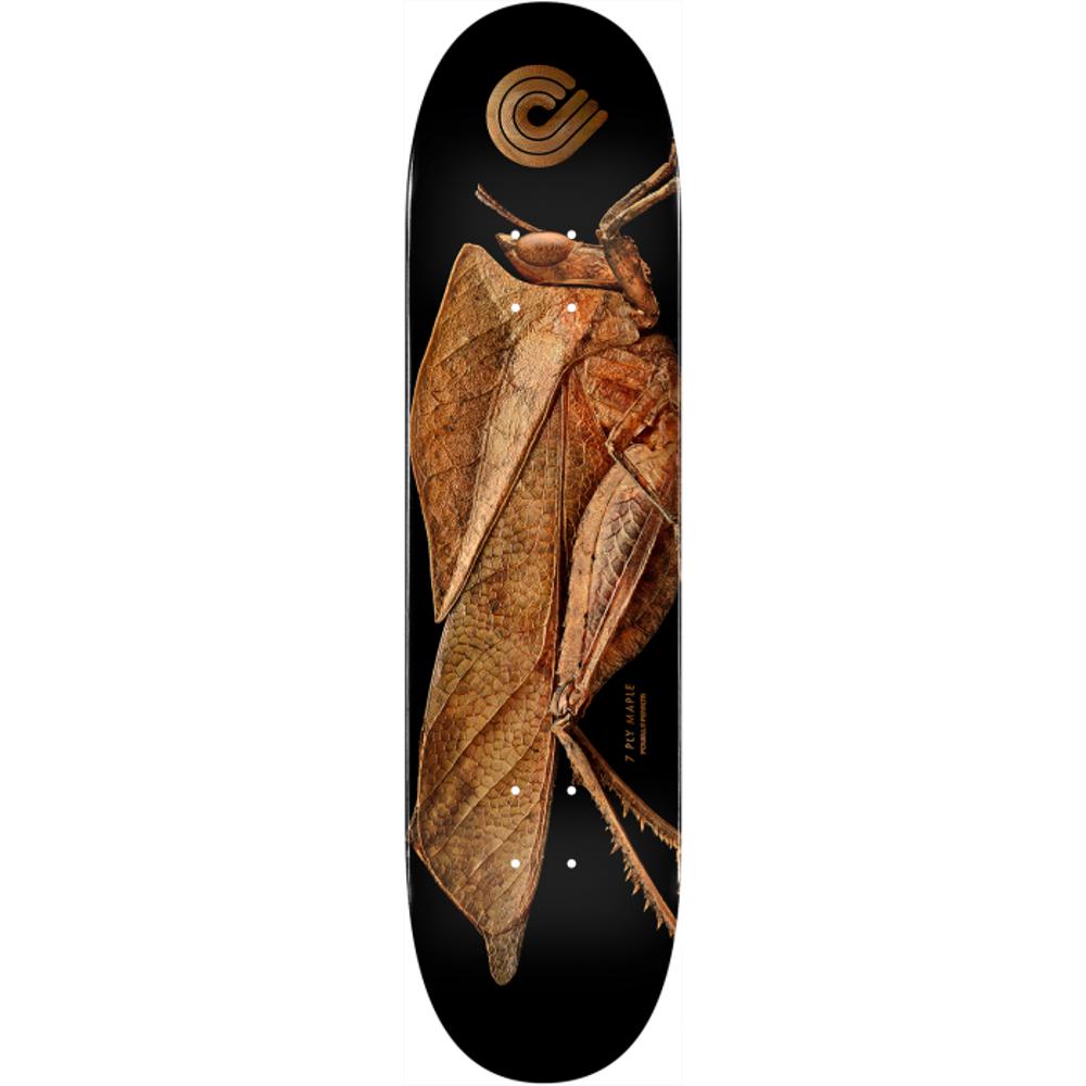 Powell Peralta Biss Leaf Grasshopper 8.5" Skateboard Deck - Longboards USA