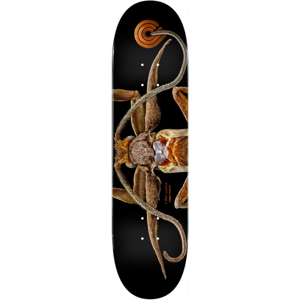 Powell Peralta Biss Marion Moth 8.25" Skateboard Deck - Longboards USA