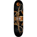 スケートボード Powell Peralta Biss Marion Moth Flight Powell Peralta Biss Marion Moth 8.25