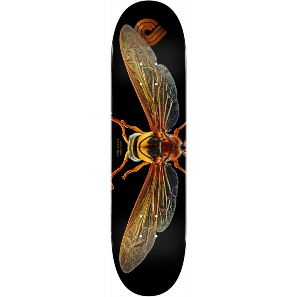 Powell Peralta Biss Potter Wasp 8.0" Skateboard Deck - Longboards USA