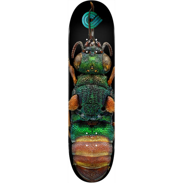 Powell Peralta Biss Ruby Tailed Wasp 8.5" Skateboard Deck - Longboards USA