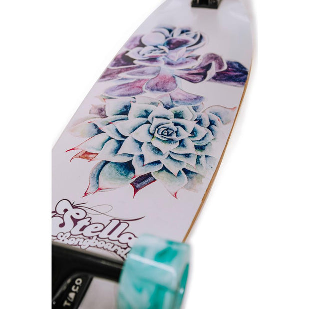 Stella Succulent Bluntnose 38” Pintail Longboard - Longboards USA