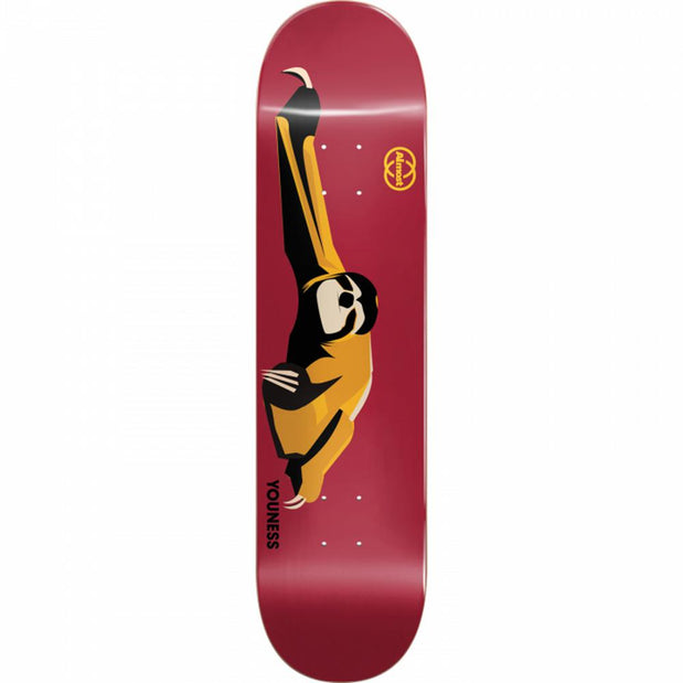 Almost Amrani Animals R7 8.25" Skateboard Deck - Longboards USA