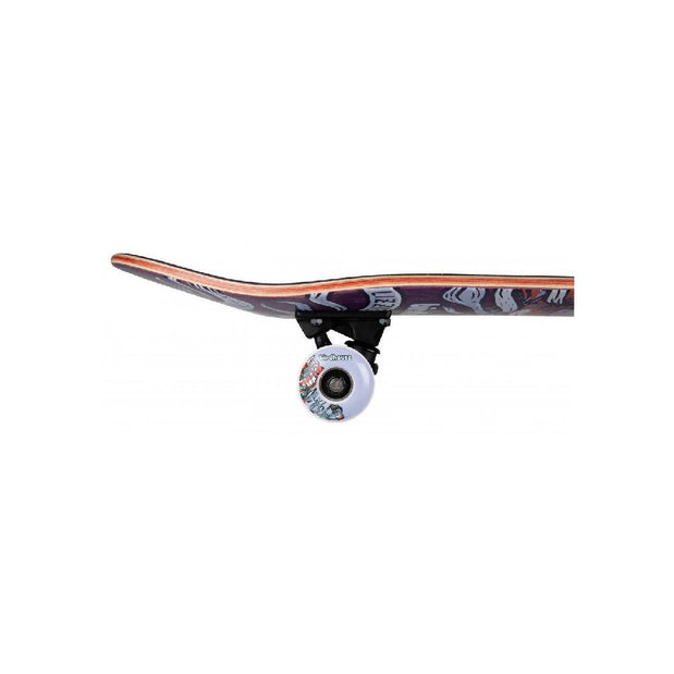 Birdhouse Armanto Favorites in Purple 7.75" Skateboard - Longboards USA