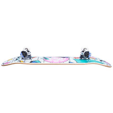 Element Off The Charts 7.75" Complete Skateboard - Longboards USA
