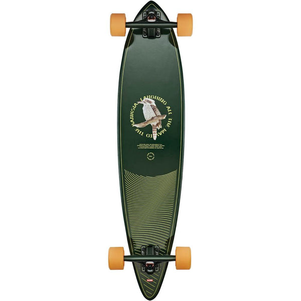 globe-kookaburra-37-pintail-