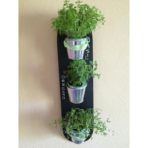 Longboard Skateboard Art - Compact Herb Garden for Kitchen w/chalkboard - Longboards USA