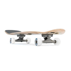 Longboard Skateboard - Stella Longboards - 30 x 9.5 - Floater Complete - Longboards USA
