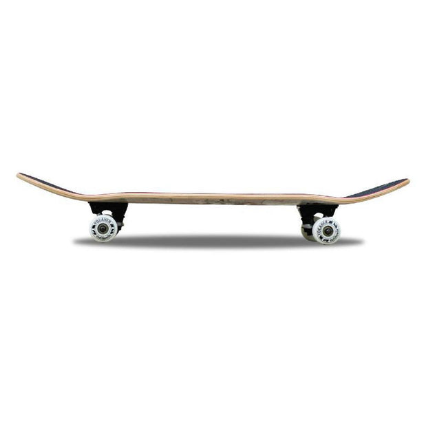 Punked Graphic Complete Skateboard - Tiedye Rasta - Longboards USA