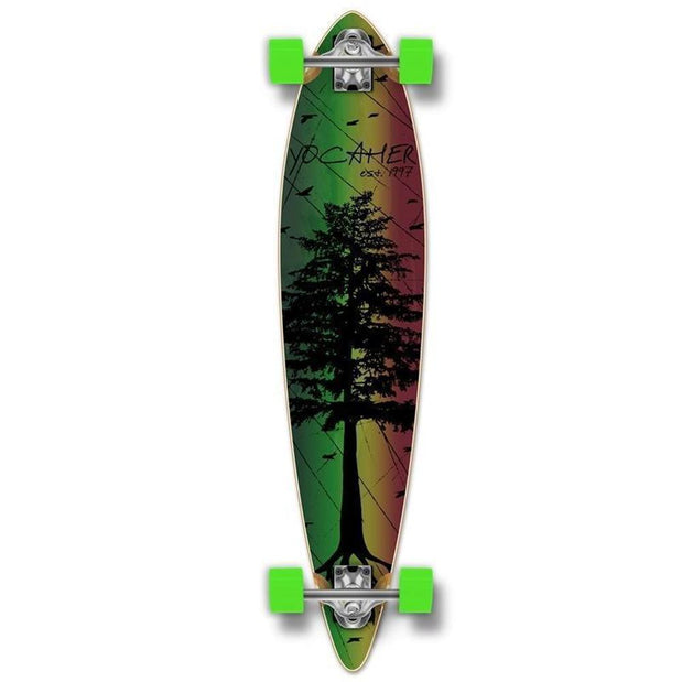 Punked Pintail In The Pines Rasta 40 inches Longboard - Longboards USA