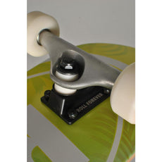 Real Island Oval 7.3" Complete Skateboard - Longboards USA