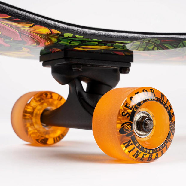 Sector 9 Eden Ft. Point 34" Kicktail Longboard - Longboards USA