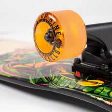 Sector 9 Eden Ft. Point 34" Kicktail Longboard - Longboards USA