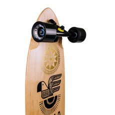 Stella Macaw Blunt Nose 38” Pintail Longboard - Longboards USA