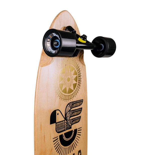 Stella Macaw Blunt Nose 38” Pintail Longboard - Longboards USA